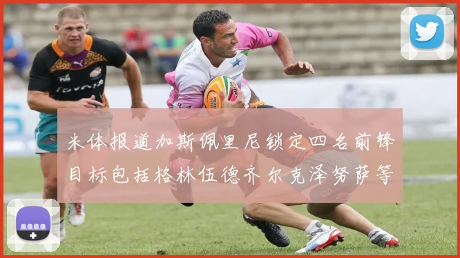 米体报道加斯佩里尼锁定四名前锋目标包括格林伍德齐尔克泽努萨等人